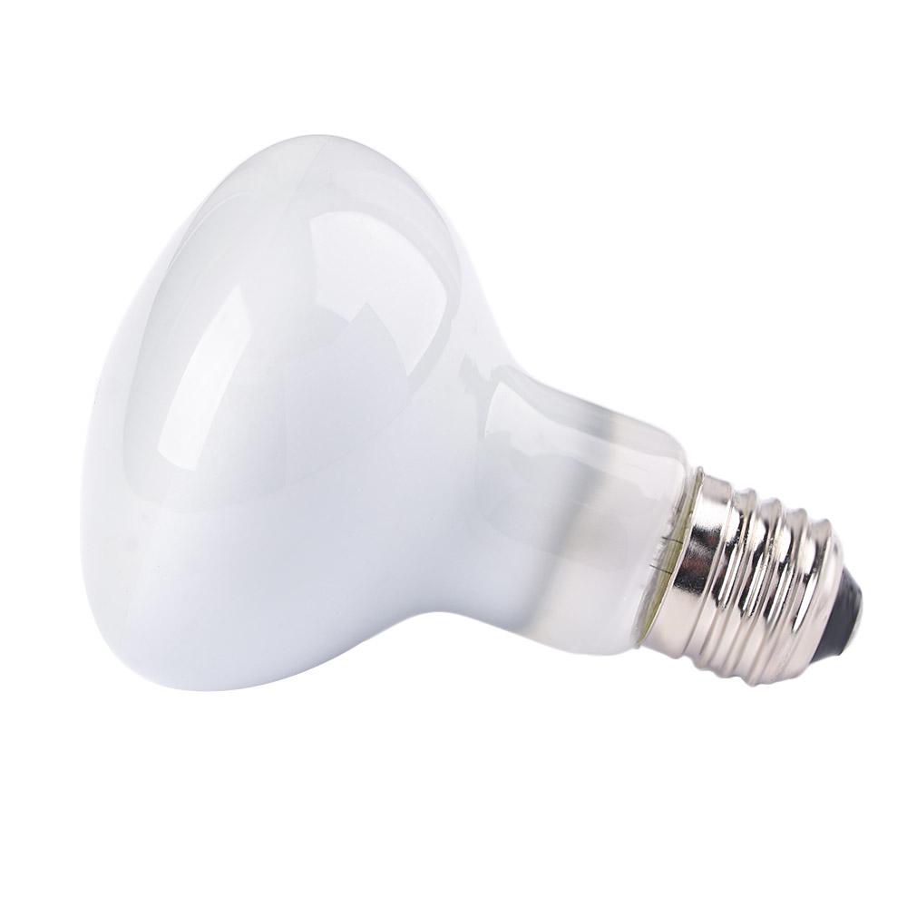 Basking Bulb Halogen - Eidechsen-Temperaturregler Wärmelampe Halogenbirne Sonnenlicht UVA-Licht für