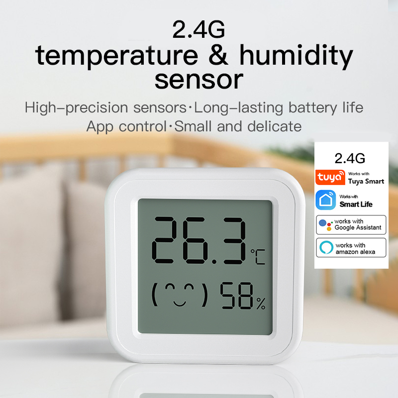 Digital Hygrometer Probe - Bluetooth Temperatur Feuchtigkeit Sensor Mini LCD