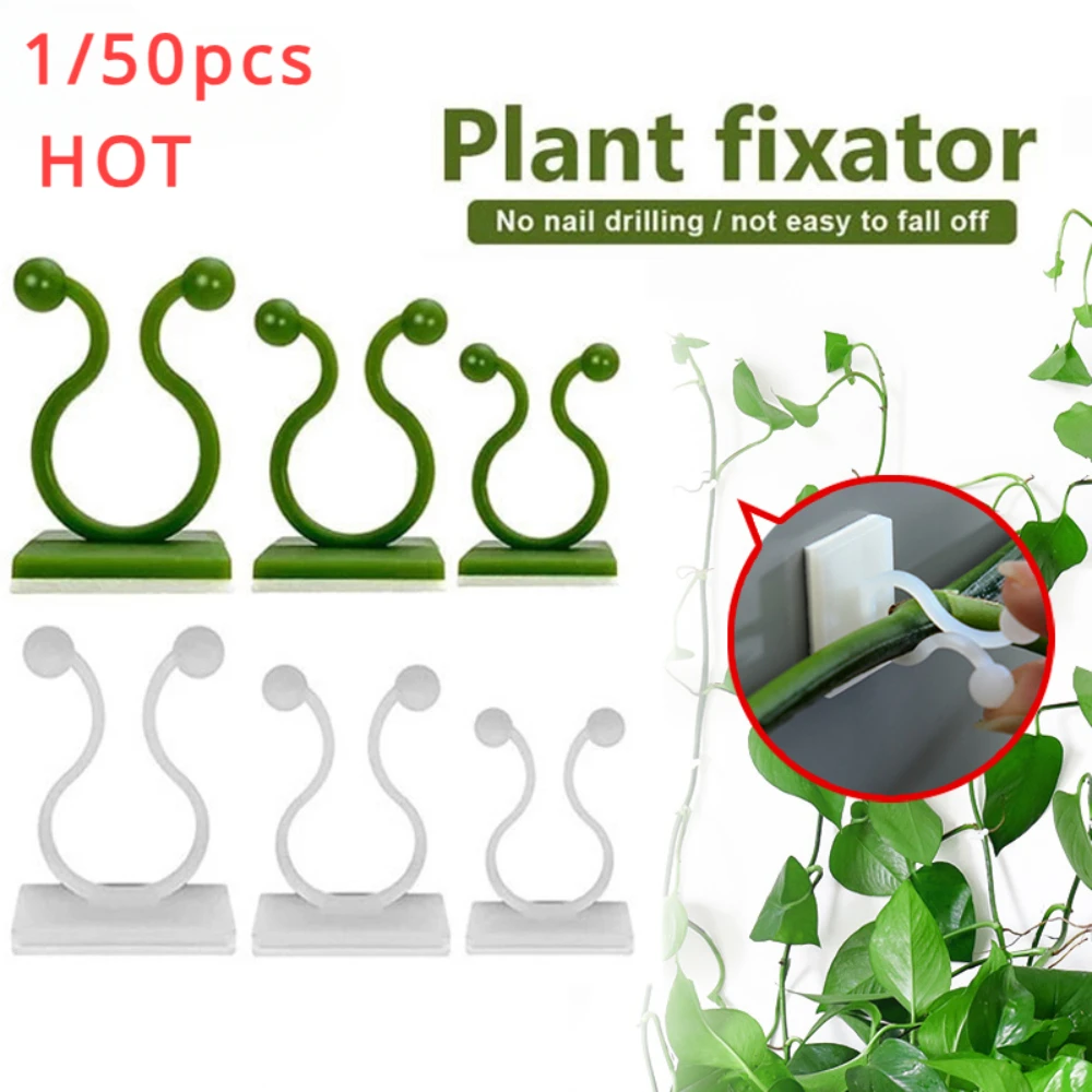 Vine Climbing Plastic - 1/30/50 Stück für Gartenzubehör, Pflanzengartentöpfe und
