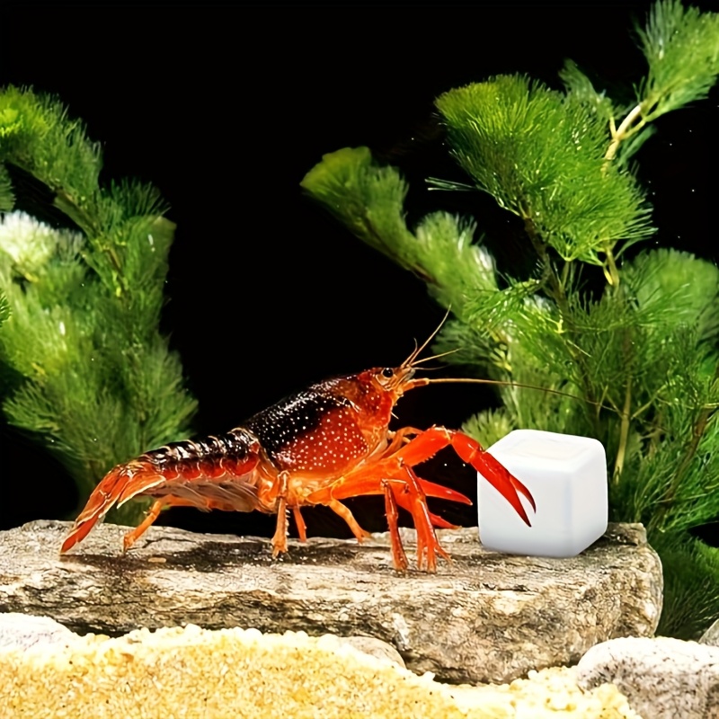 Calcium Powder Reptile - 6-teiliger Aquarium-Kalziumblock, Mineralien, Aquarium-Versorgung, Krabbelwürfel für