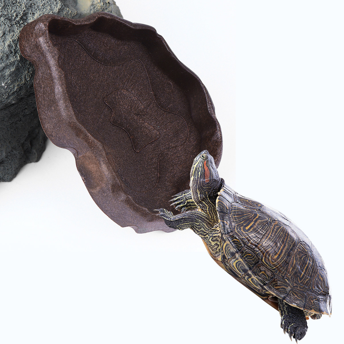 Reptilien-Futterschale aus Kun – Water Dish Reptile Bewertung und Preis