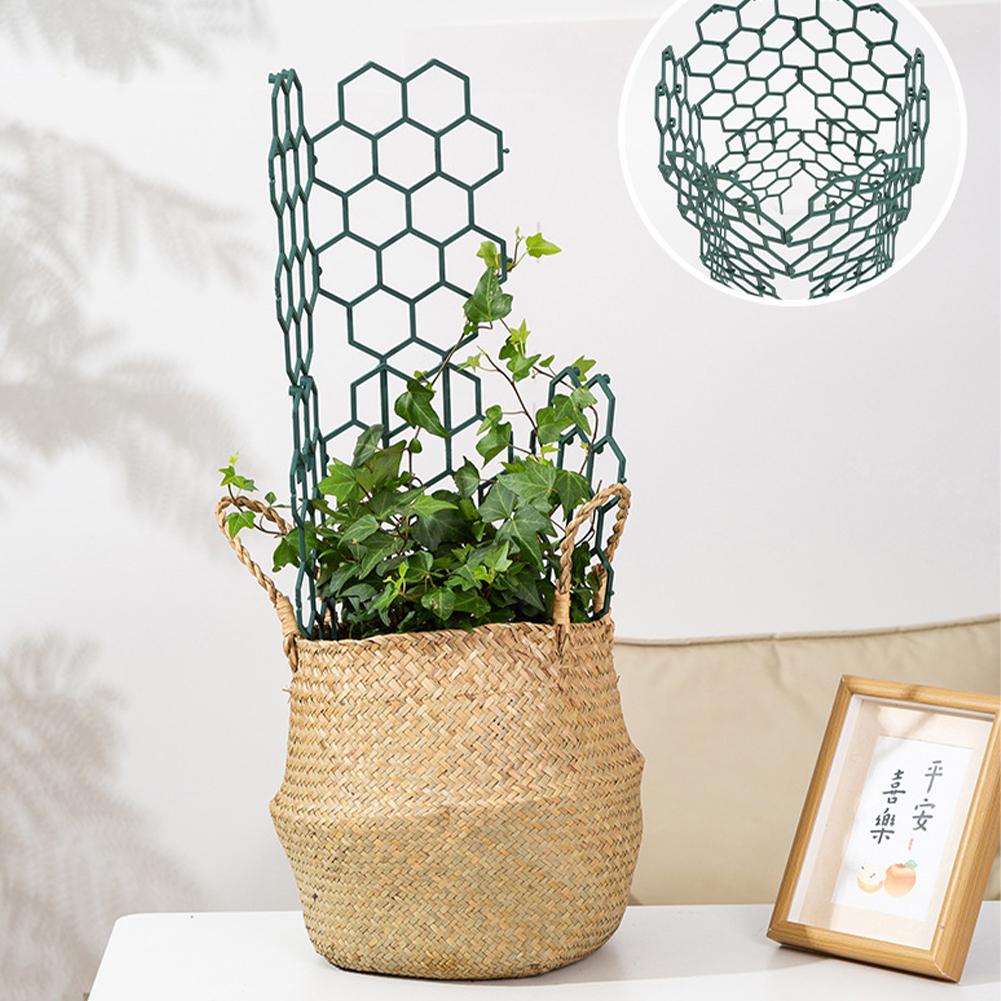 1/2/5 Stück Kunststoff-Pflanze – Vine Climbing Plastic Bewertung und Preis