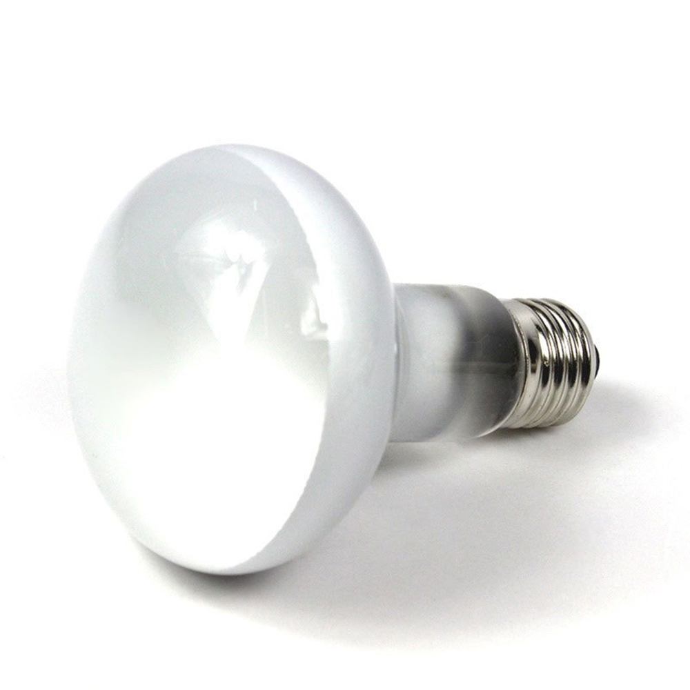 Eidechsen-Heizstrahler mit Tem – Basking Bulb Halogen Bewertung und Preis
