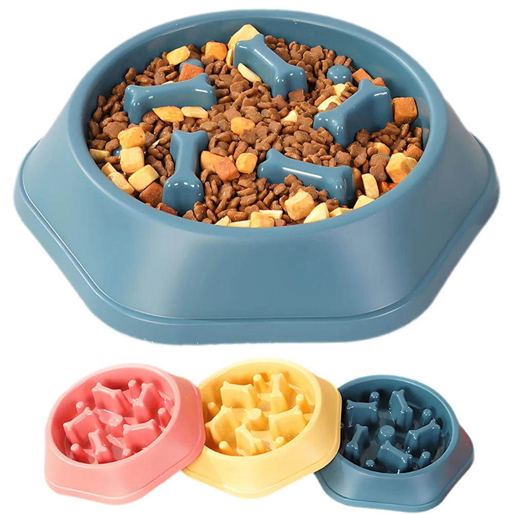 Neuer Slow-Feeder Hundenapf An – Royal Canin Food Medium Bewertung und Preis