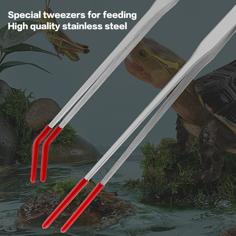 Expertevolle Aquarium-Werkzeug – Feeding Tong Stainless Bewertung und Preis