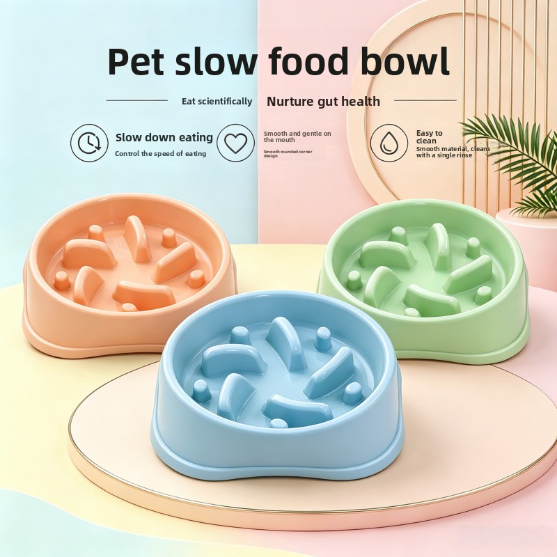 1/3 Stück Rutschfester Slow-Fe – Royal Canin Food Medium Bewertung und Preis