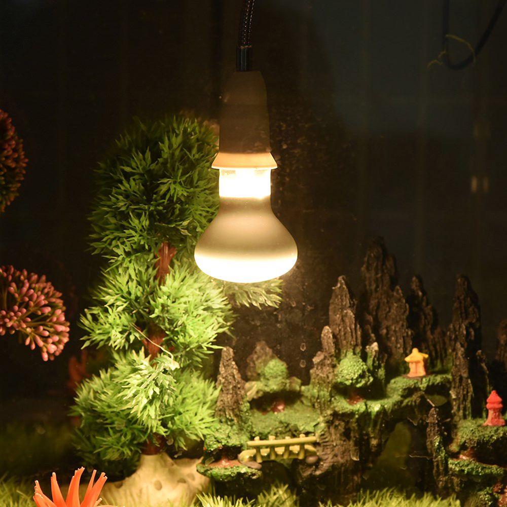 Amphibien-Wärmelampe UVA-Licht – Basking Bulb Halogen Bewertung und Preis