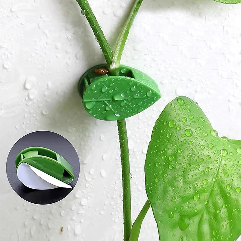 10-90 Stück Pflanzenbefestigun – Vine Climbing Plastic Bewertung und Preis