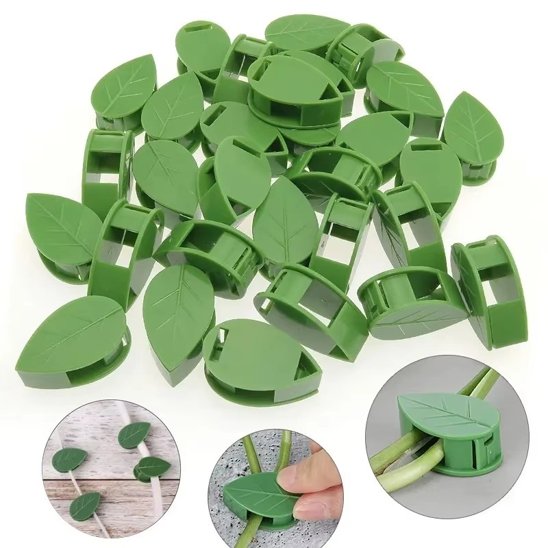 10-90 Stück Pflanzenbefestigun – Vine Climbing Plastic Bewertung und Preis