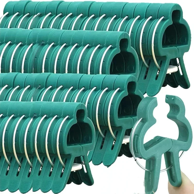Pflanze Feste Clips Wiederverw – Vine Climbing Plastic Bewertung und Preis