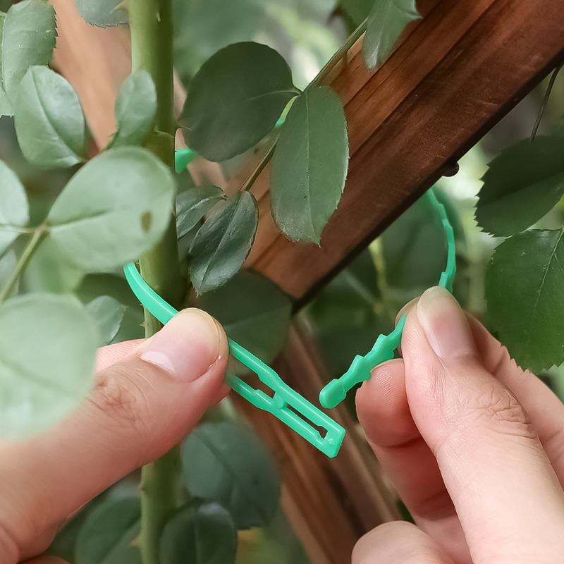 Wiederverwendbare Pflanzenbind – Vine Climbing Plastic Bewertung und Preis