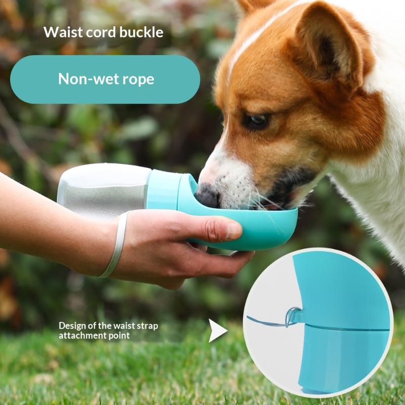 500ml große Hundetrinkflasche, – Royal Canin Food Medium Bewertung und Preis