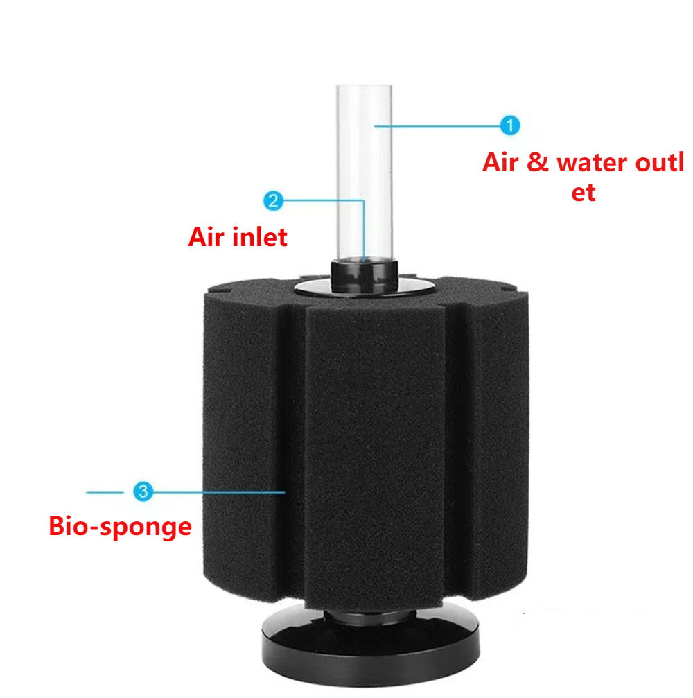 Aquarium Filter Schwamm Für Aq – Aquael Filter Fzn Bewertung und Preis