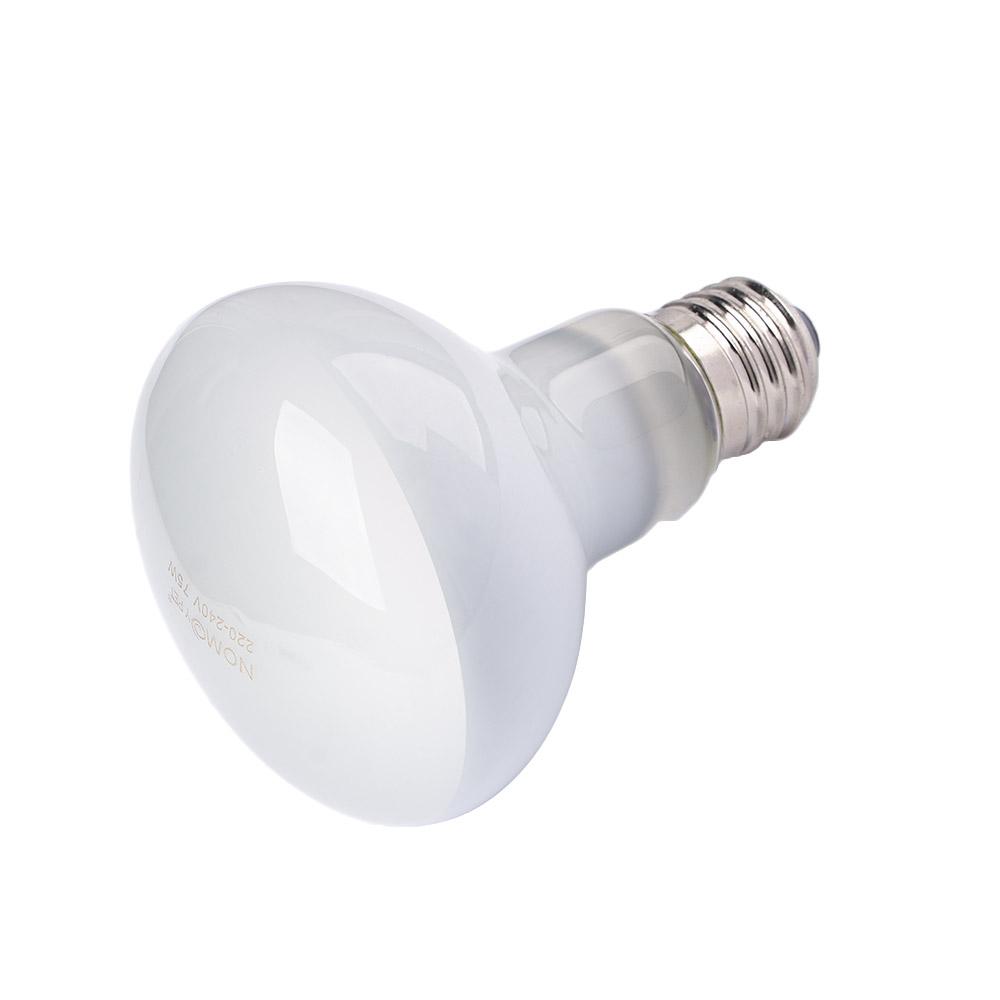 Schildkröten-Heizlampe Reptili – Basking Bulb Halogen Bewertung und Preis