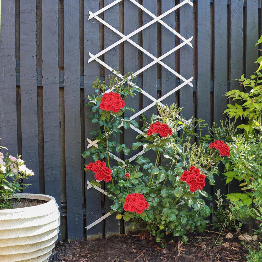 Erweiterbares Garten-Rankgitte – Vine Climbing Plastic Bewertung und Preis