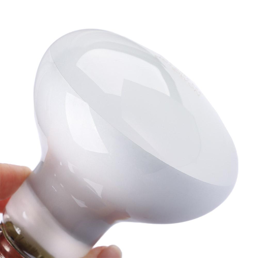 Schildkröten-Heizstrahler mit  – Basking Bulb Halogen Bewertung und Preis
