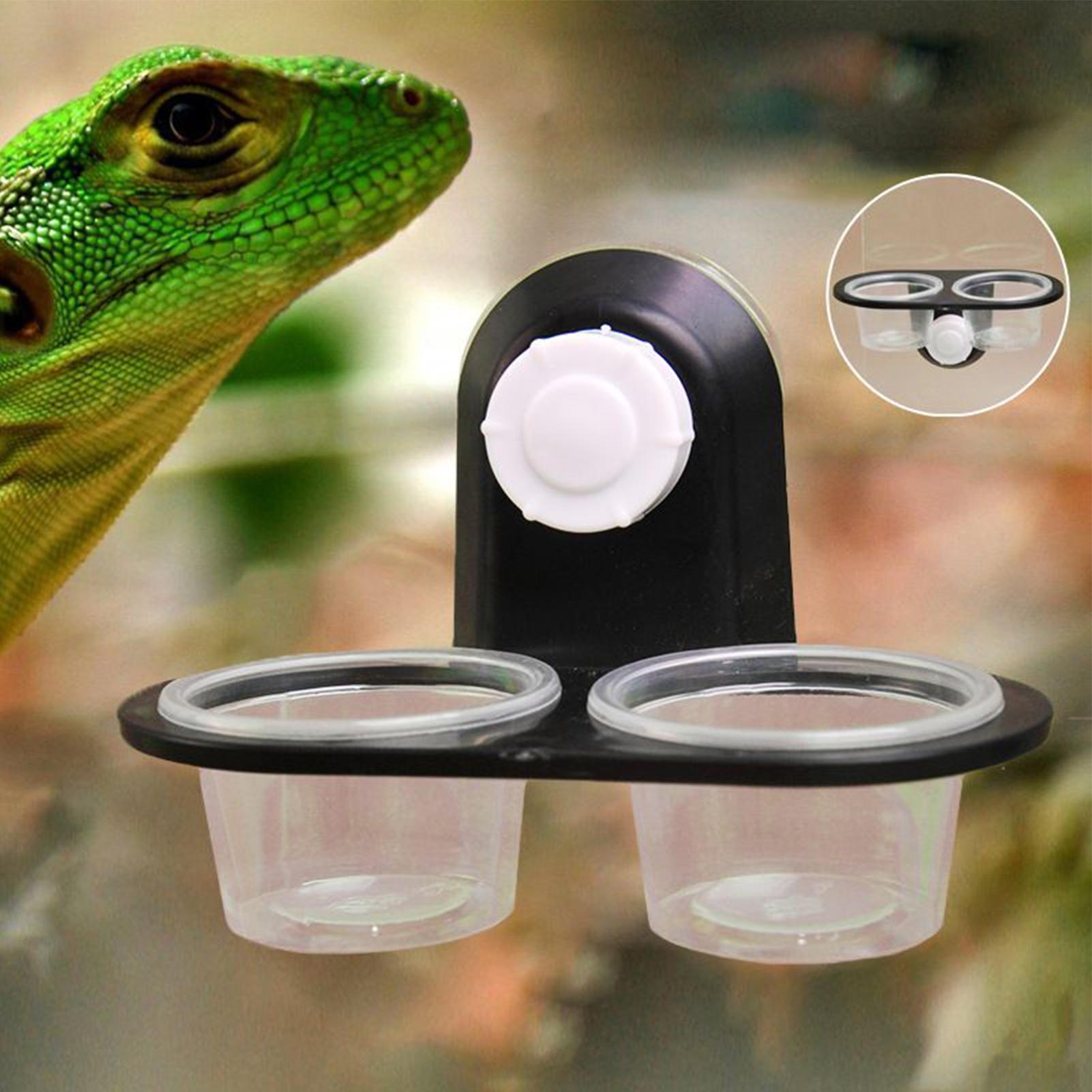 Gecko-Futterschale, Gecko-Fütt – Water Dish Reptile Bewertung und Preis