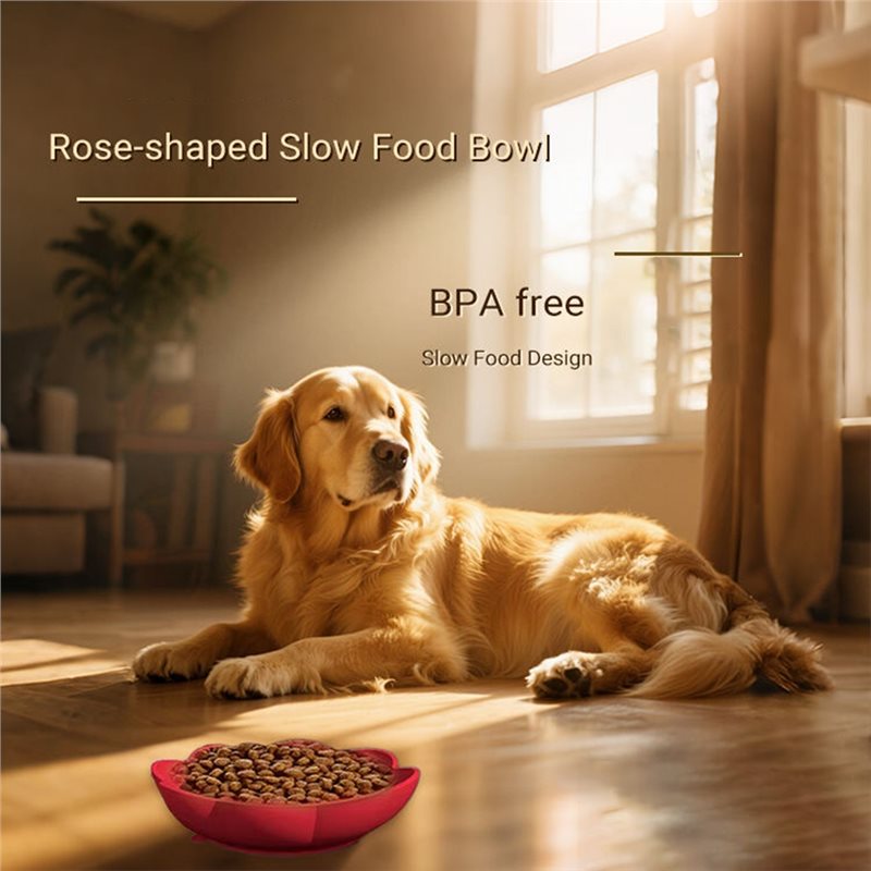 A11E-Pet Supplies Silikon-Fres – Royal Canin Food Medium Bewertung und Preis