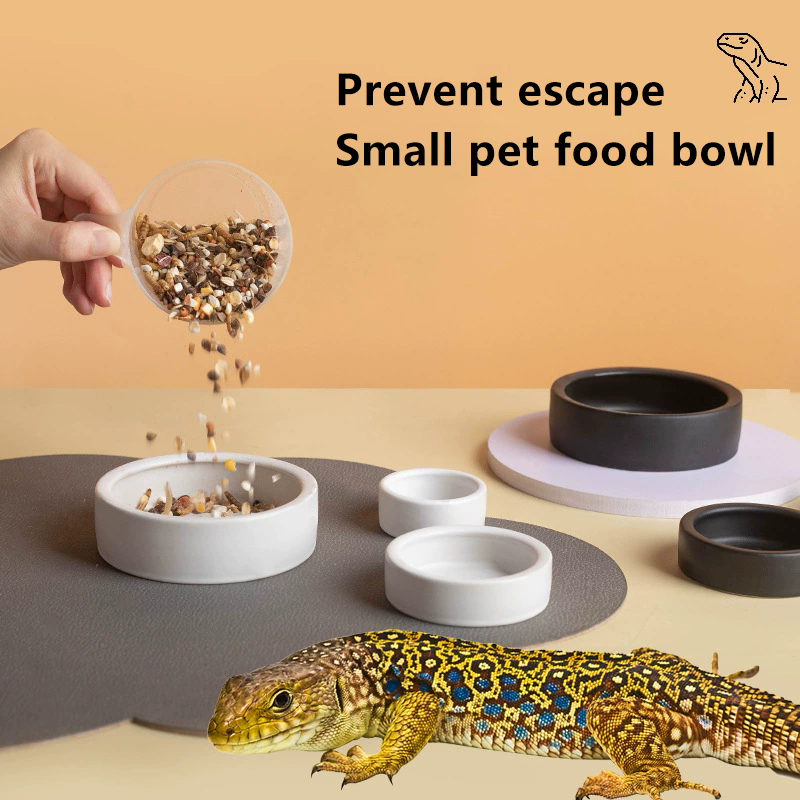 HEISS! Reptilien-Futterschale, – Water Dish Reptile Bewertung und Preis
