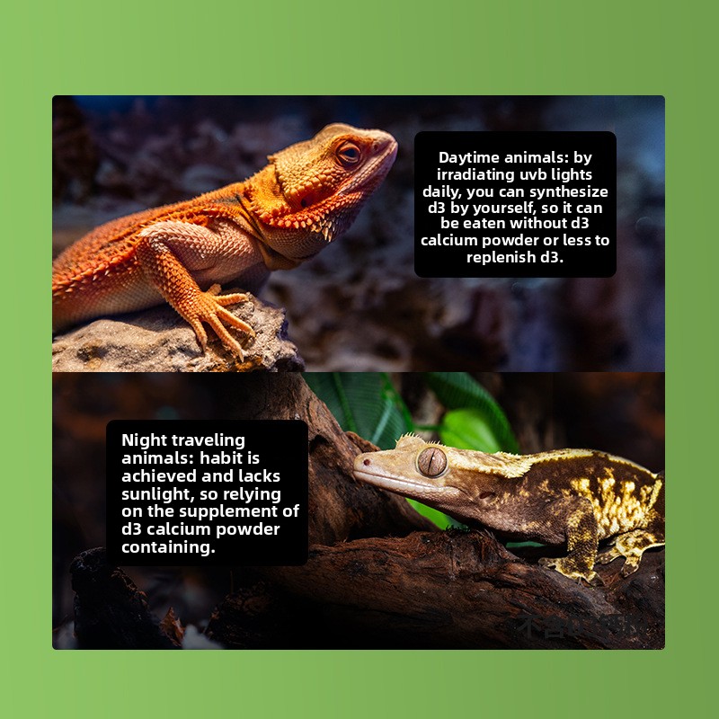 Reptizoo Reptilien-Kalziumpulv – Vitamin D3 Reptile Bewertung und Preis