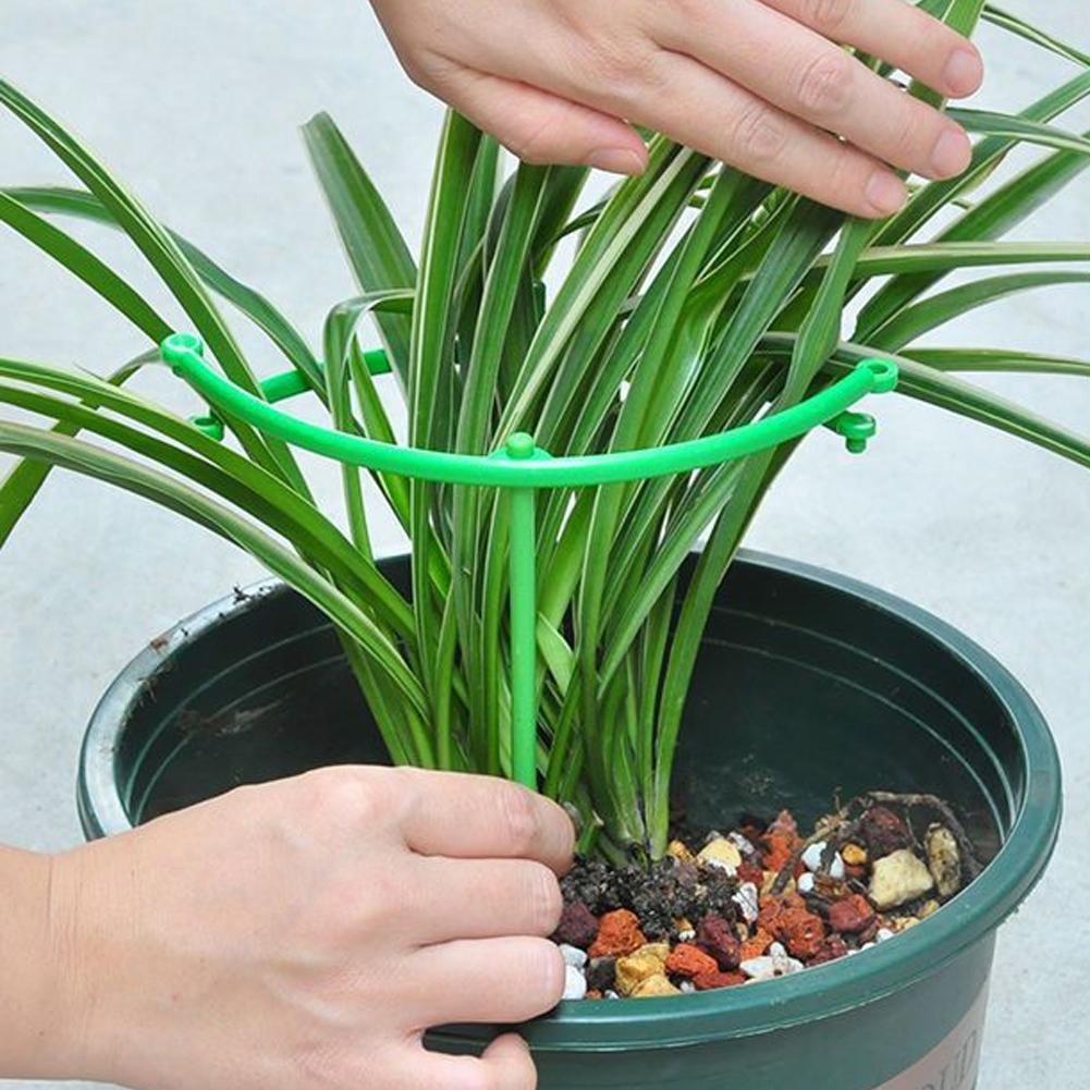 Verstellbarer grün karierter G – Vine Climbing Plastic Bewertung und Preis