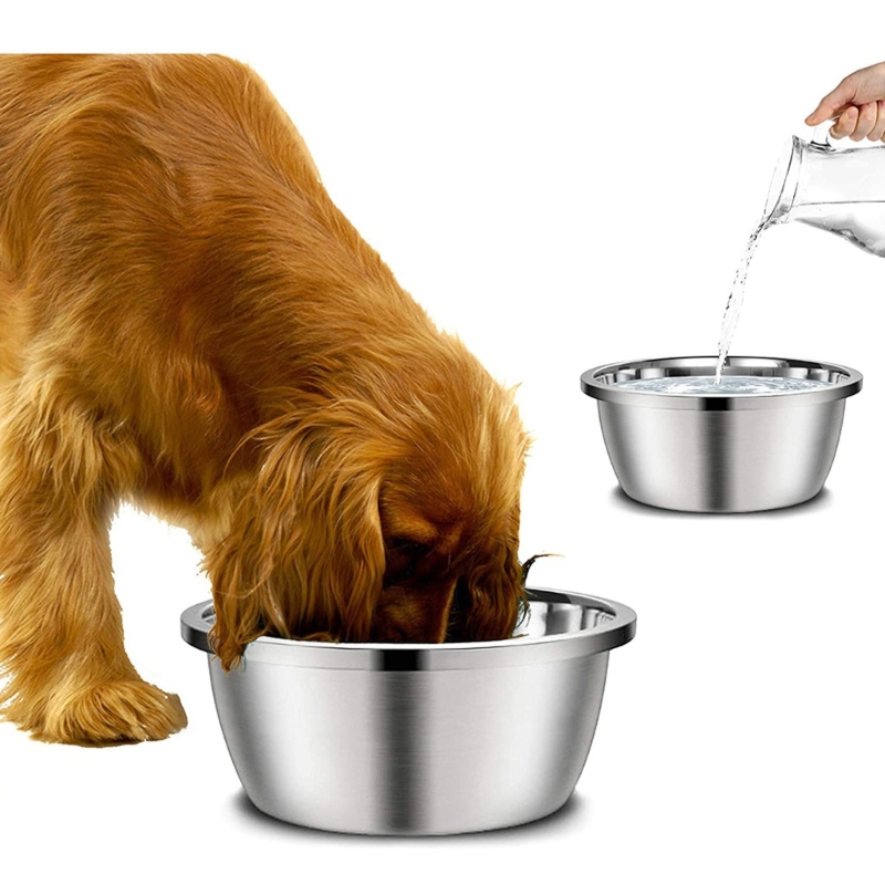 Hundefutterspender aus Edelsta – Royal Canin Food Medium Bewertung und Preis