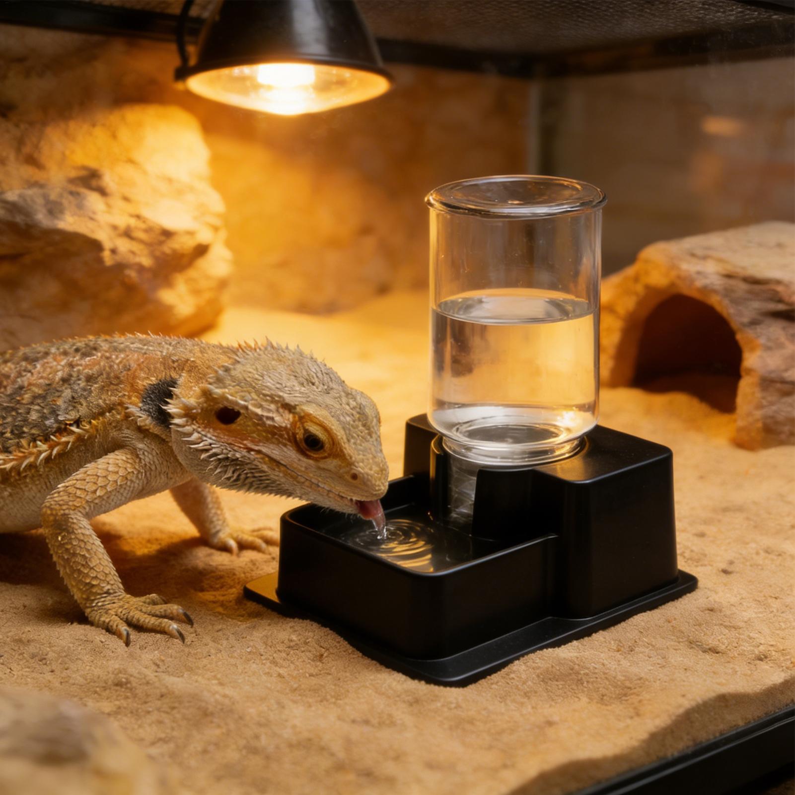 Automatischer Trinkbrunnen für – Water Dish Reptile Bewertung und Preis