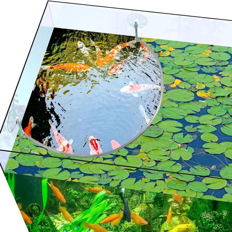 Floating Plant Corral Fish Fee – Aquael Filter Fzn Bewertung und Preis