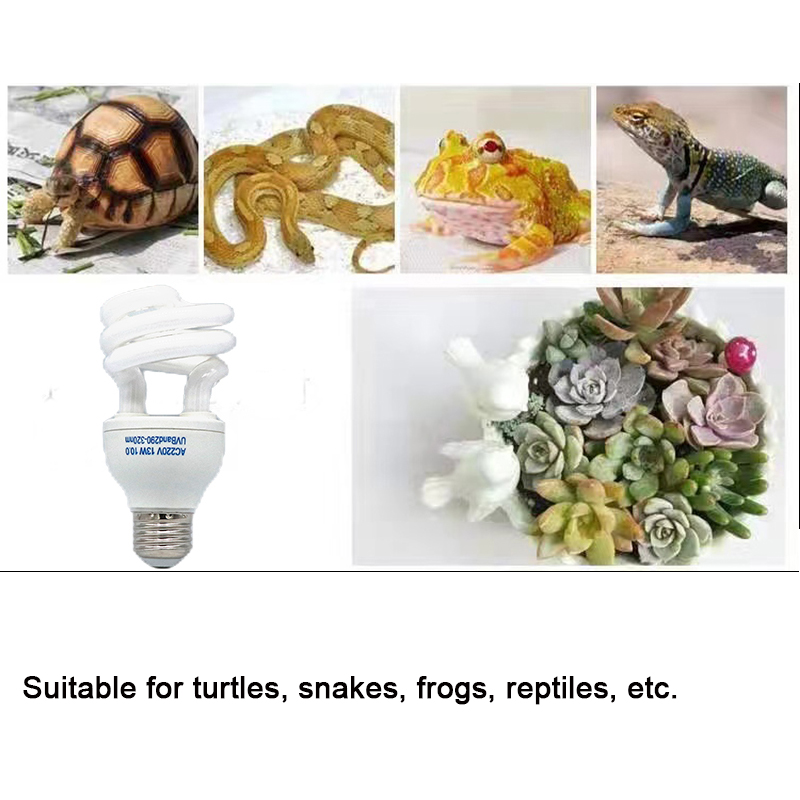 E27 13W/26W Reptilien-UVB-Lamp – Calcium Powder Reptile Bewertung und Preis