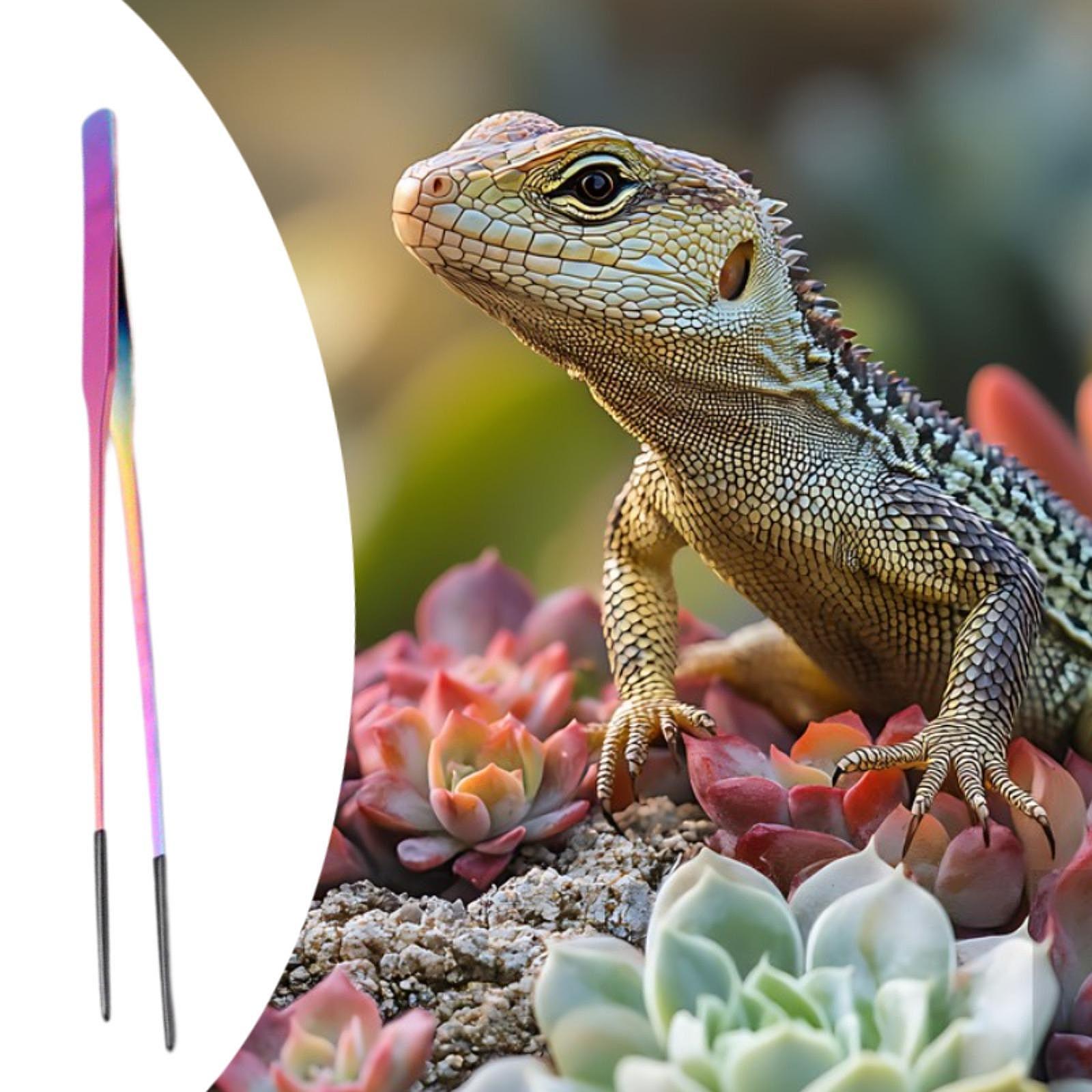 Kleintierbedarf Reptilien-Fütt – Feeding Tong Stainless Bewertung und Preis