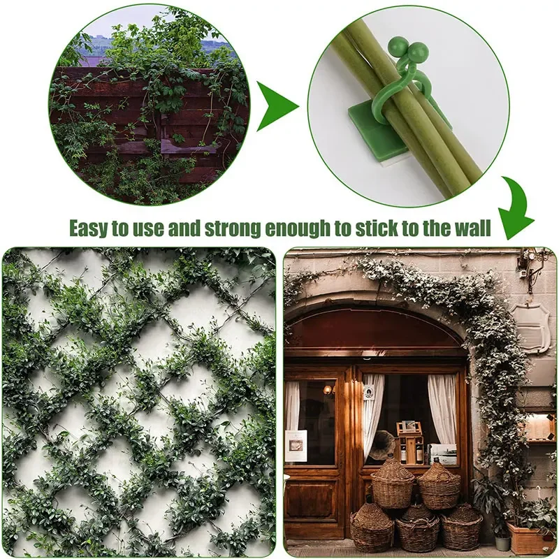 1/30/50 Stück für Gartenzubehö – Vine Climbing Plastic Bewertung und Preis