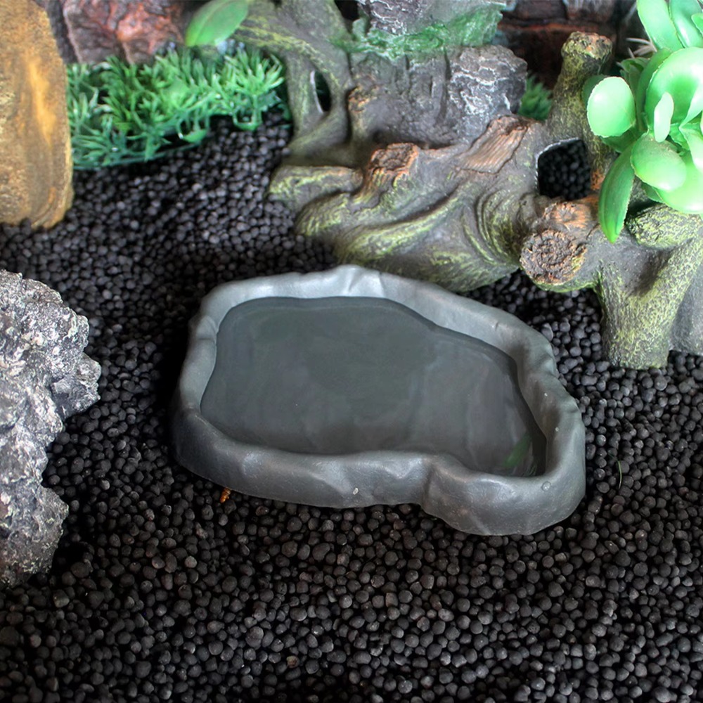 ABS-Harz-Futterschale für Rept – Water Dish Reptile Bewertung und Preis