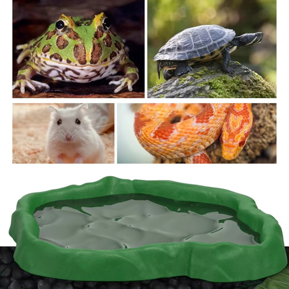 ABS-Harz-Futterschale für Rept – Water Dish Reptile Bewertung und Preis