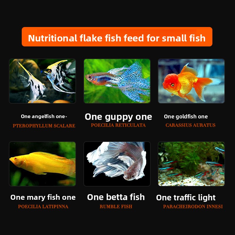 DaJiaWa Spirulina-Flockenfisch – Tetra Food Goldfish Flakes Bewertung und Preis