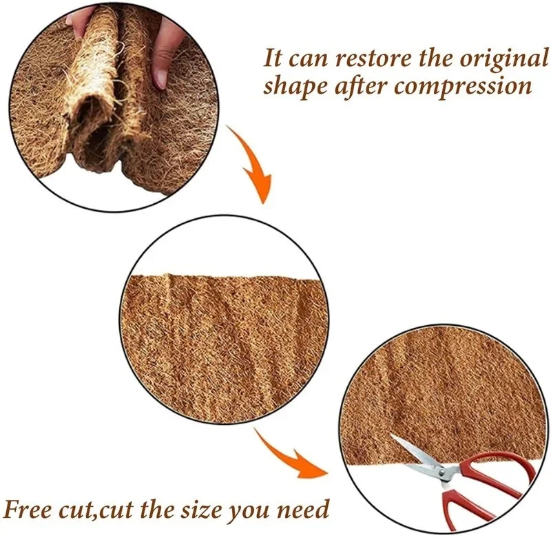 Reptilien-Teppich aus Natürlic – Substrate Coconut Fiber Bewertung und Preis
