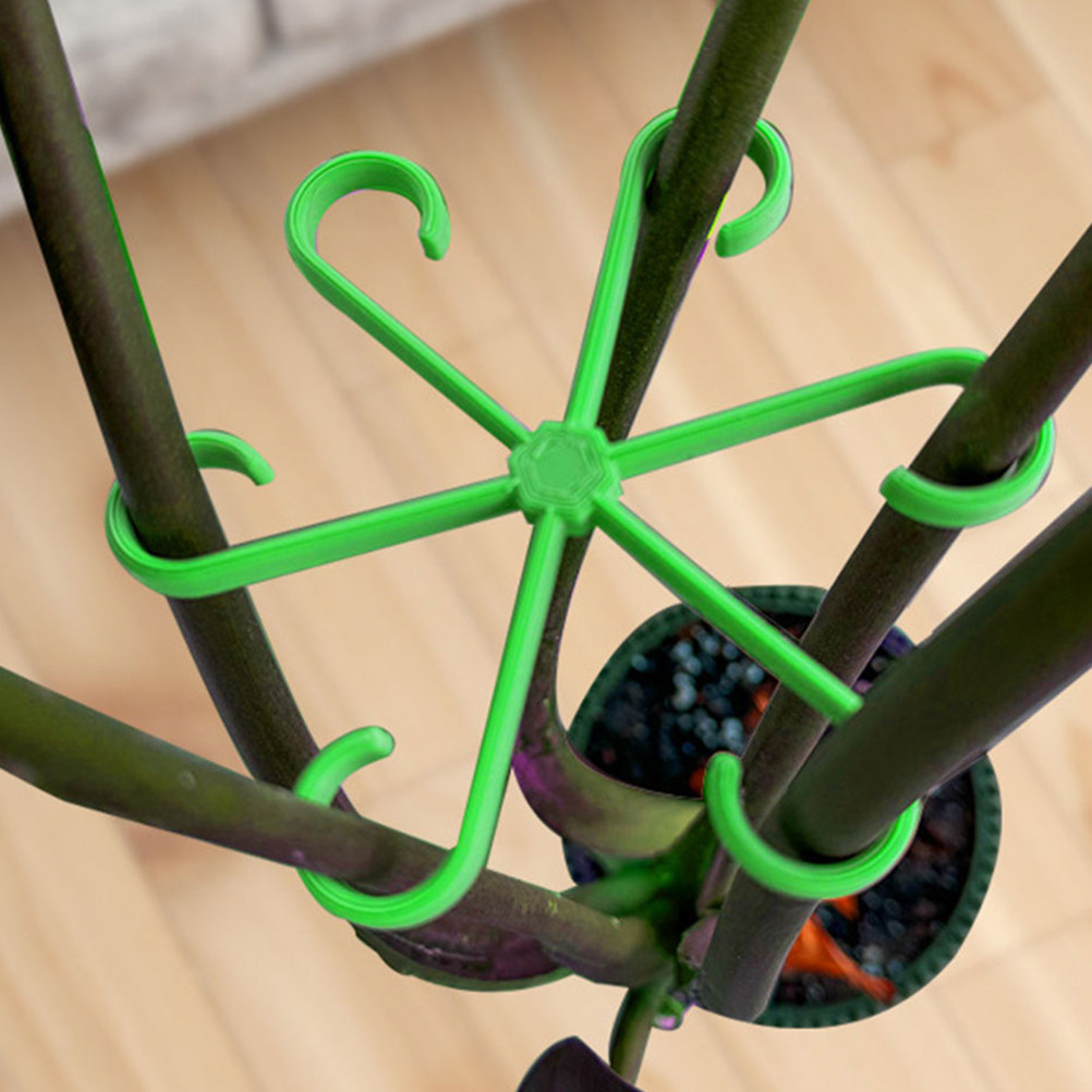 12 Stück Pflanzenstützclips fü – Vine Climbing Plastic Bewertung und Preis