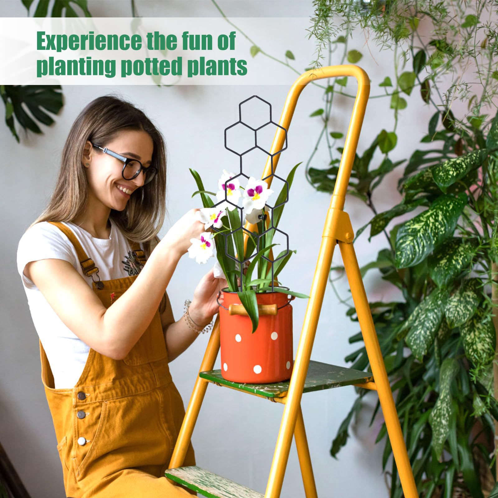 1 Stück Pflanzengestell im Wab – Vine Climbing Plastic Bewertung und Preis