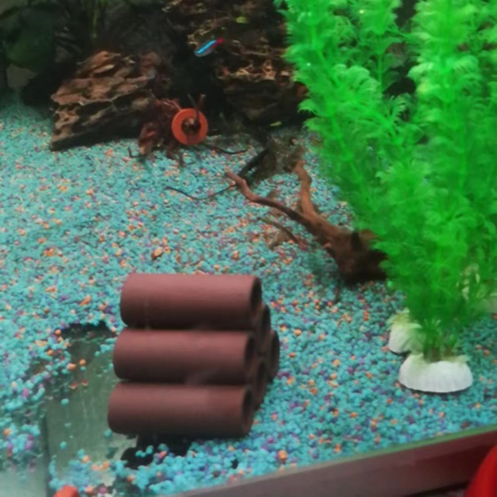Spielen, Zucht, Laichen, Aquar – Hide Cave Ceramic Bewertung und Preis