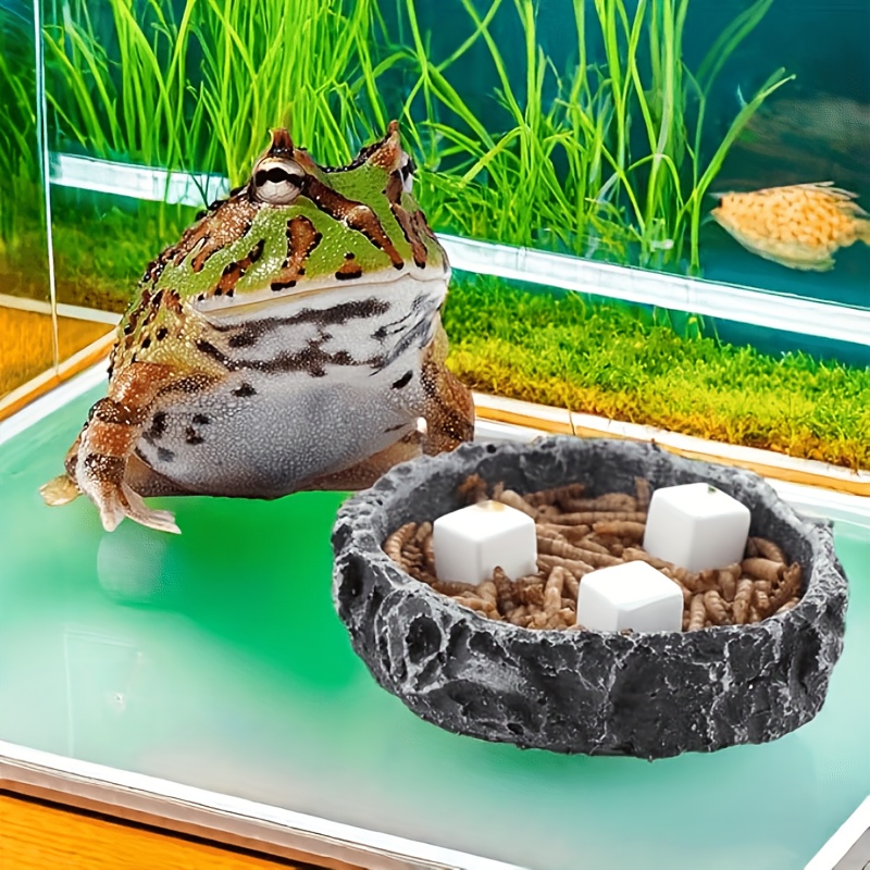 6-teiliger Aquarium-Kalziumblo – Calcium Powder Reptile Bewertung und Preis