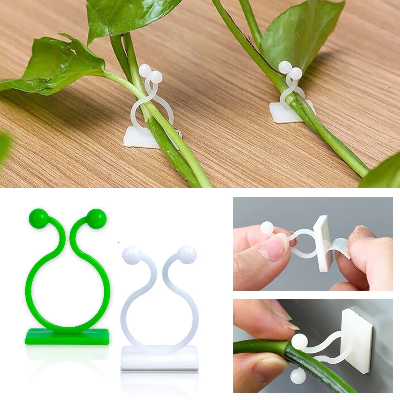 Pflanze Klettern Wand Selbstkl – Vine Climbing Plastic Bewertung und Preis