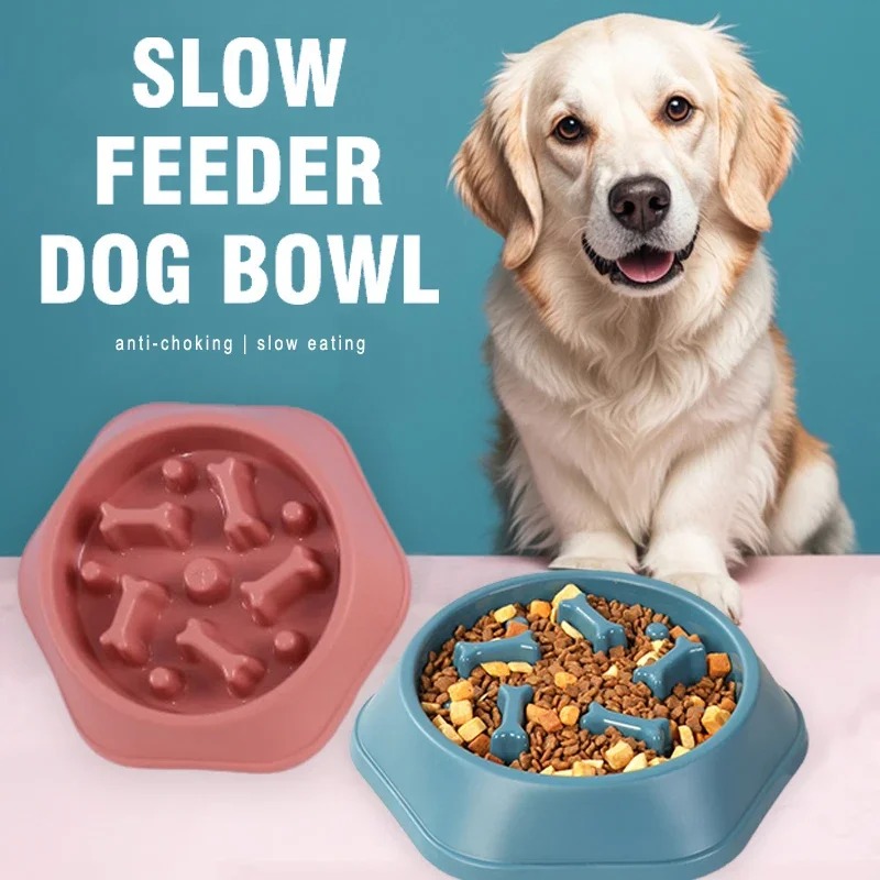 1 Stück Slow-Feeder Hundenapf  – Royal Canin Food Medium Bewertung und Preis