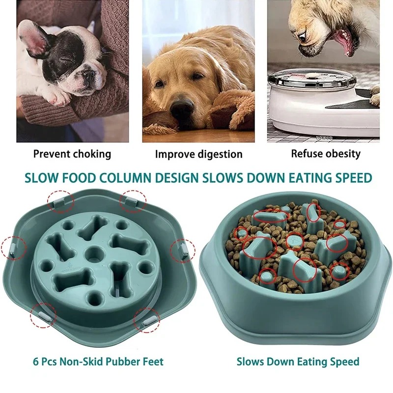 1 Stück Slow-Feeder Hundenapf  – Royal Canin Food Medium Bewertung und Preis